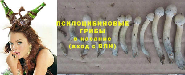 альфа пвп Бугульма