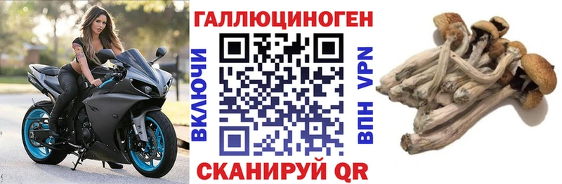 ОМГ ОМГ как войти  darknet какой сайт  Нижний Тагил  Галлюциногенные грибы мицелий  цены наркотик 